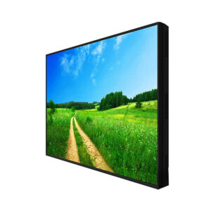 43" Professional Monitor