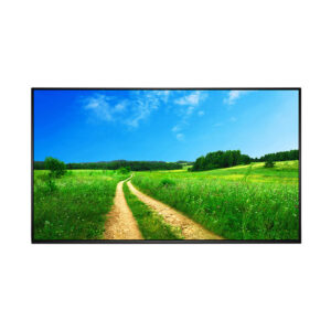 43" Professional Monitor - Image 3